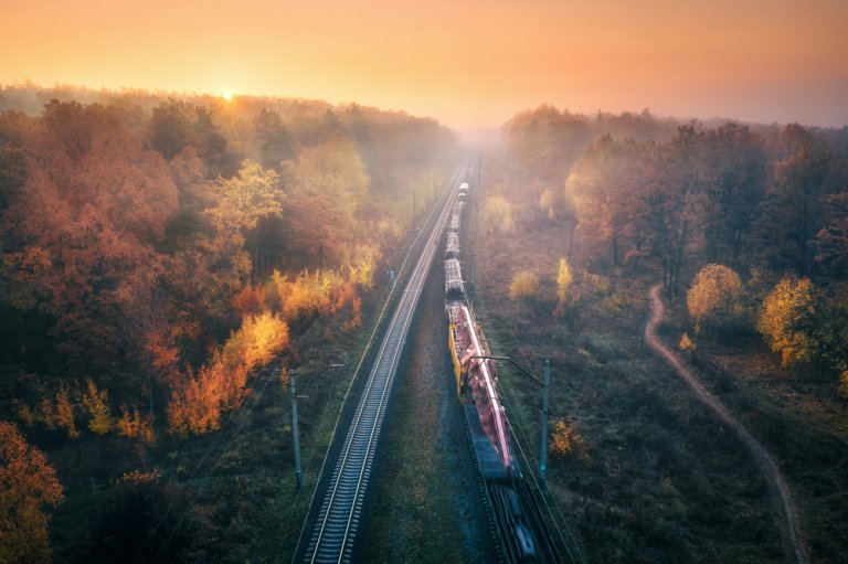 Скидка на плацкарт осенью 2021 - поезд едет по осеннему лесу