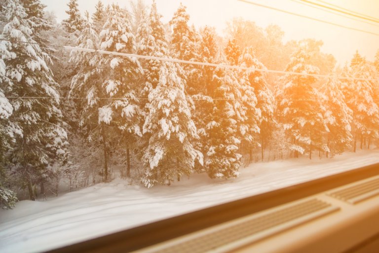 Вид на заснеженный лес из окна поезда РЖД. Зима. Солнце.